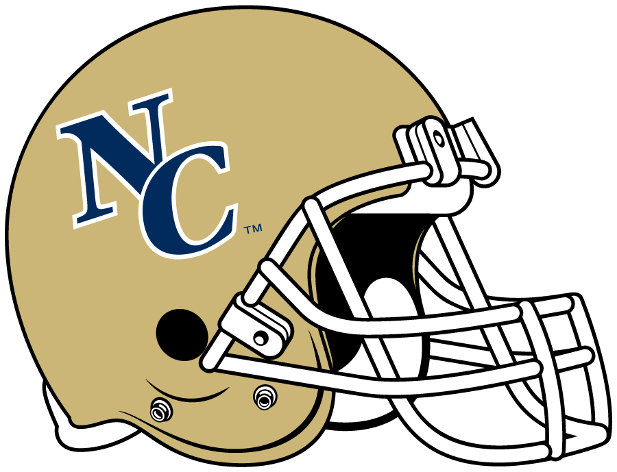 Northern Colorado Bears 2006-2007 Helmet Logo diy iron on heat transfer